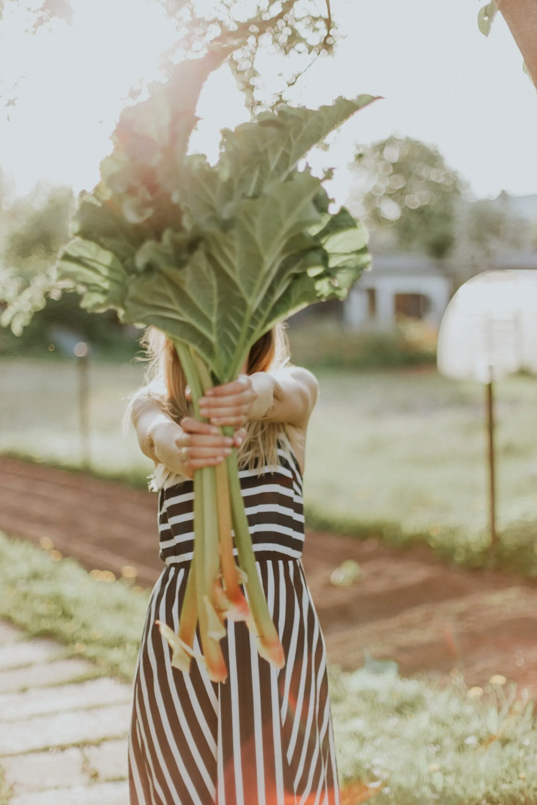 Mujer mostrando hortalizas de hoja recién cosechadas en la huerta